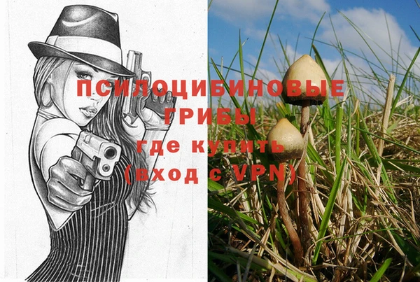 дмт Костерёво