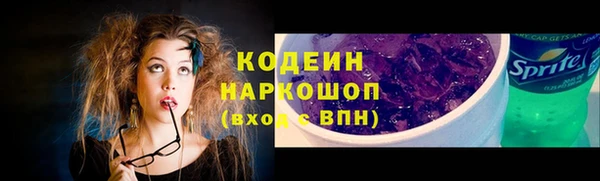 тгк Корсаков