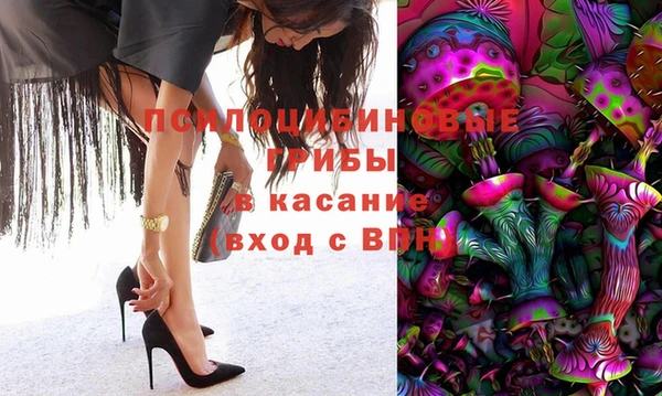дмт Костерёво