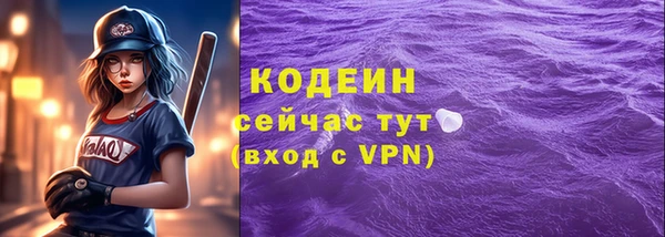 дмт Костерёво