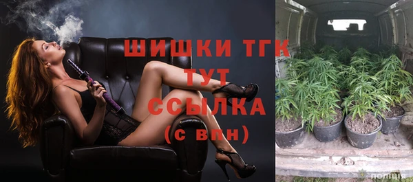 дмт Костерёво