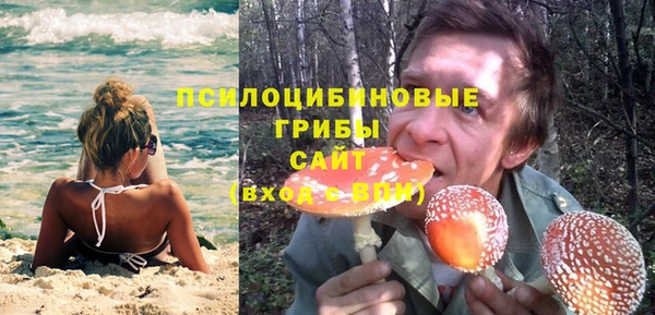 ECSTASY Краснослободск