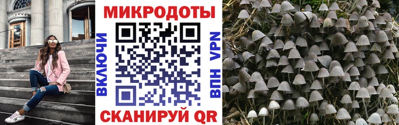 Галлюциногенные грибы мицелий  Купить закладки  Богородицк 